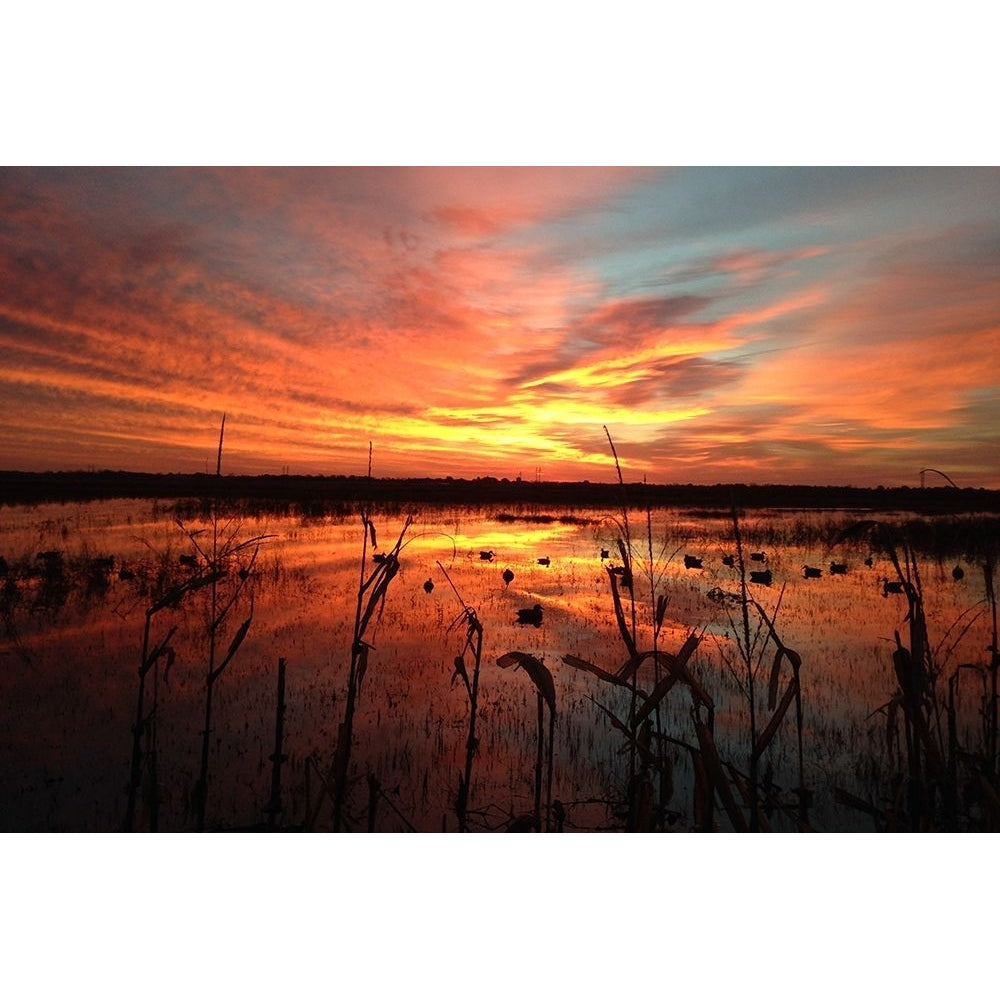 March Sunrise in Missouri Poster Print - Doug Helmers-VARPDX67789 Image 1