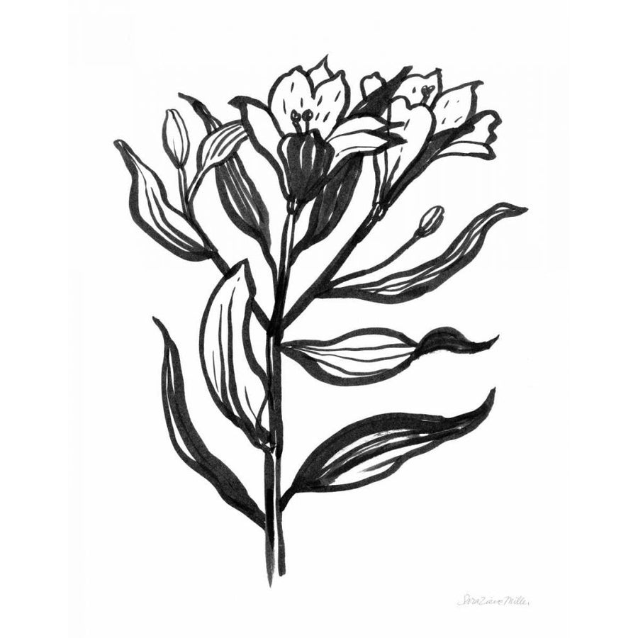 Ink Flower I by Sara Zieve Miller-VARPDX67944 Image 1