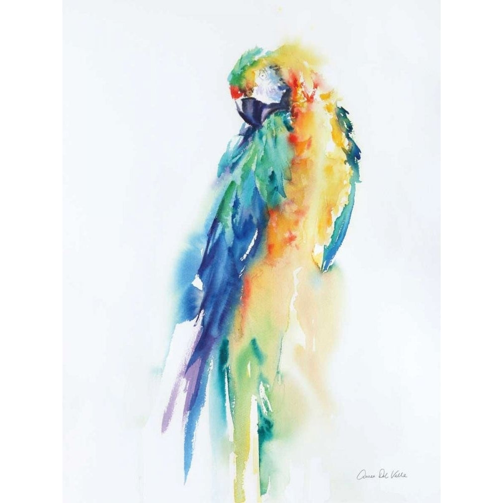 Colorful Parrots II by Aimee Del Valle-VARPDX67965 Image 1