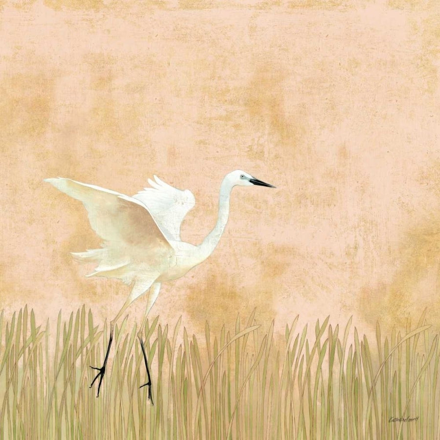 Egret Alighting I by Kathrine Lovell-VARPDX67990 Image 1