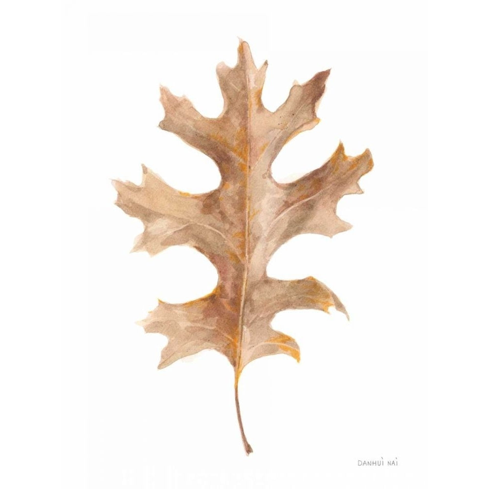 Fallen Leaf I by Danhui Nai-VARPDX68074 Image 1