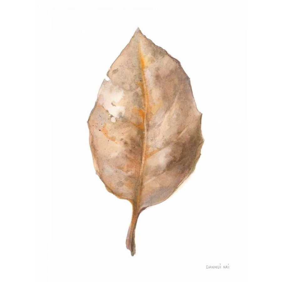 Fallen Leaf II by Danhui Nai-VARPDX68075 Image 1