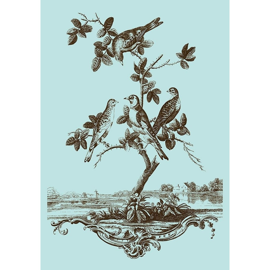 Avian Toile I Poster Print - Studio Vision-VARPDX68137Z Image 1