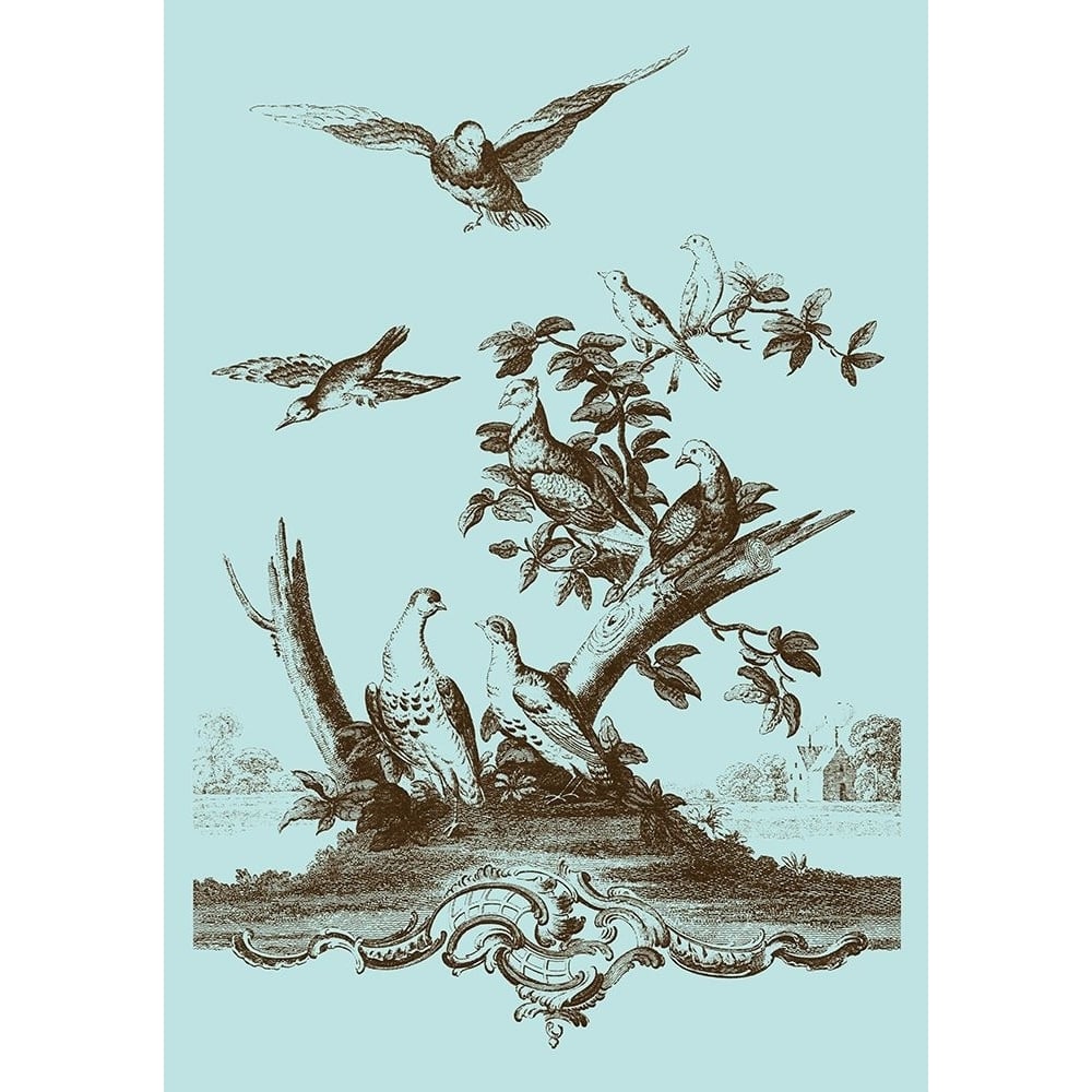 Avian Toile IV Poster Print - Studio Vision-VARPDX68140Z Image 1