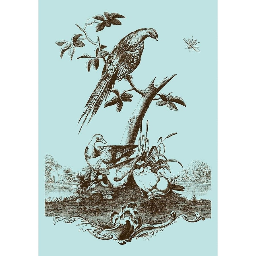 Avian Toile III Poster Print - Studio Vision-VARPDX68139Z Image 1