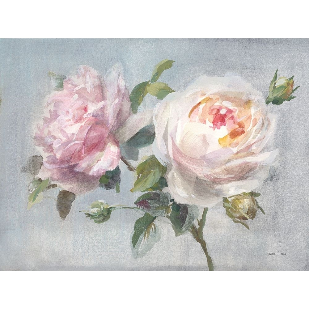 Light Lovely Roses Poster Print - Danhui Nai-VARPDX68140 Image 1