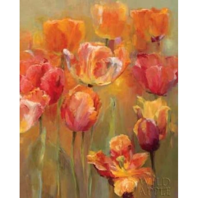 Tulips in the Midst II Poster Print by Marilyn Hageman-VARPDX6817 Image 1