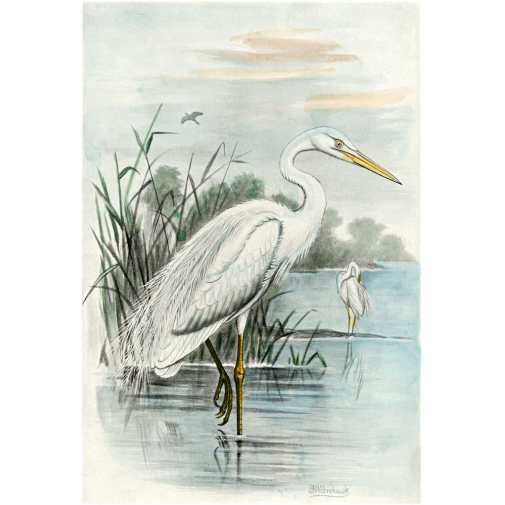 Oversize White Heron Poster Print - unknown-VARPDX68215Z Image 1