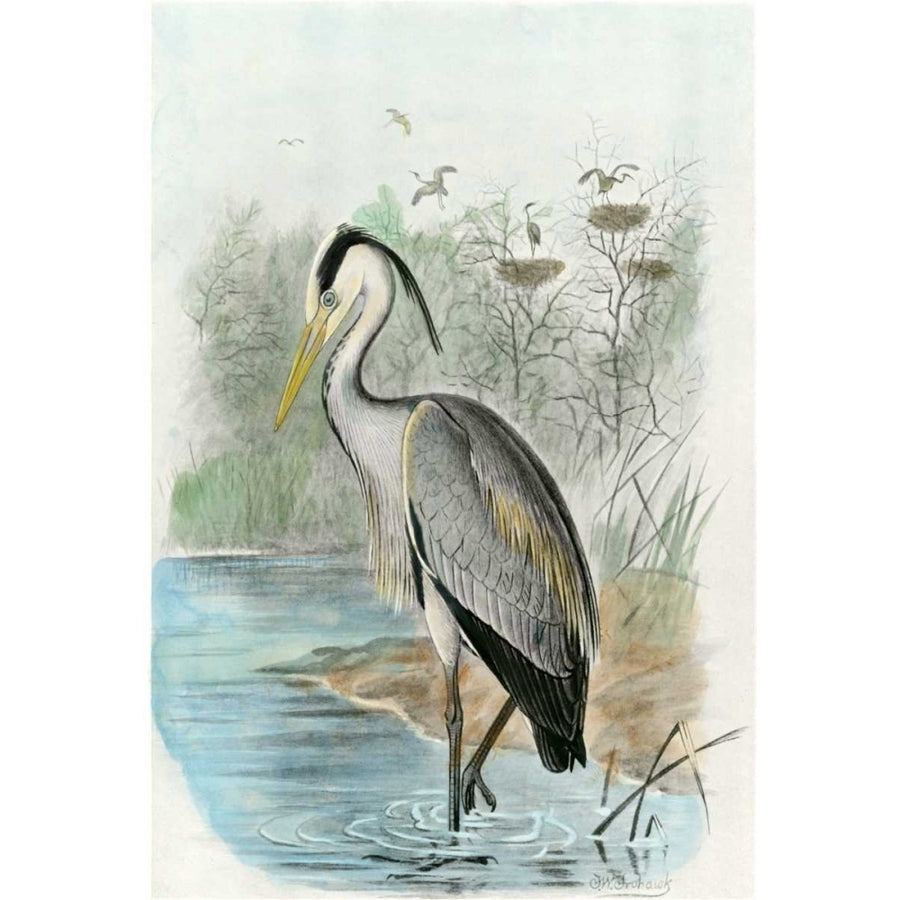 Oversize Common Heron Poster Print - unknown-VARPDX68216Z Image 1