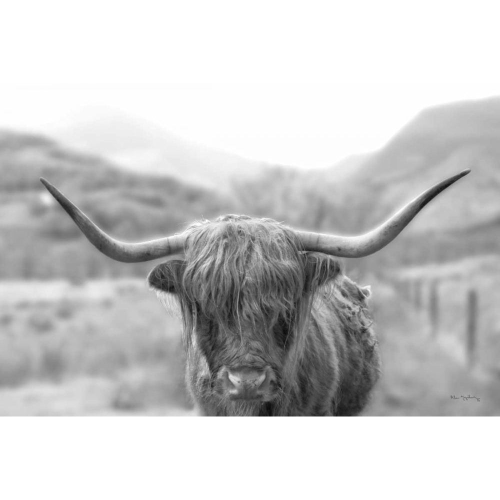 Scottish Highland Cattle III Neutral Crop by Alan Majchrowicz-VARPDX68383 Image 1