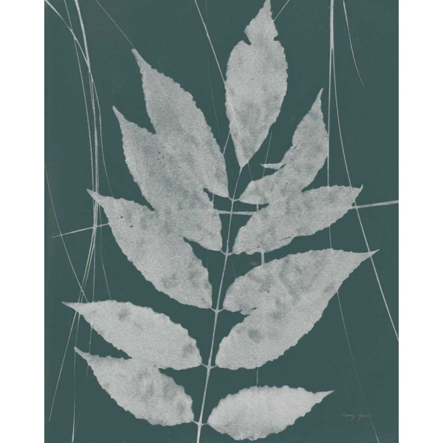 Enchanted Fall Cyanotype IX by Nancy Green-VARPDX68388 Image 1