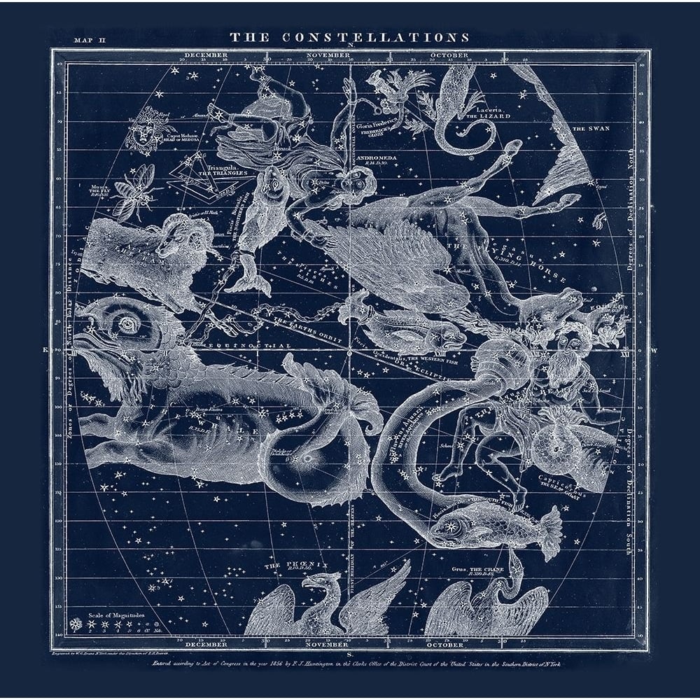 The Constellations Poster Print by Adam Shaw Cartography-VARPDX683SHA1008 Image 1