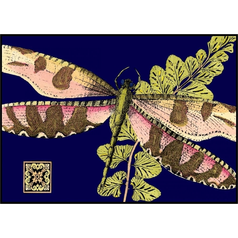 Mini Shimmering Dragonfly IV Poster Print - Studio Vision-VARPDX68435Z Image 1