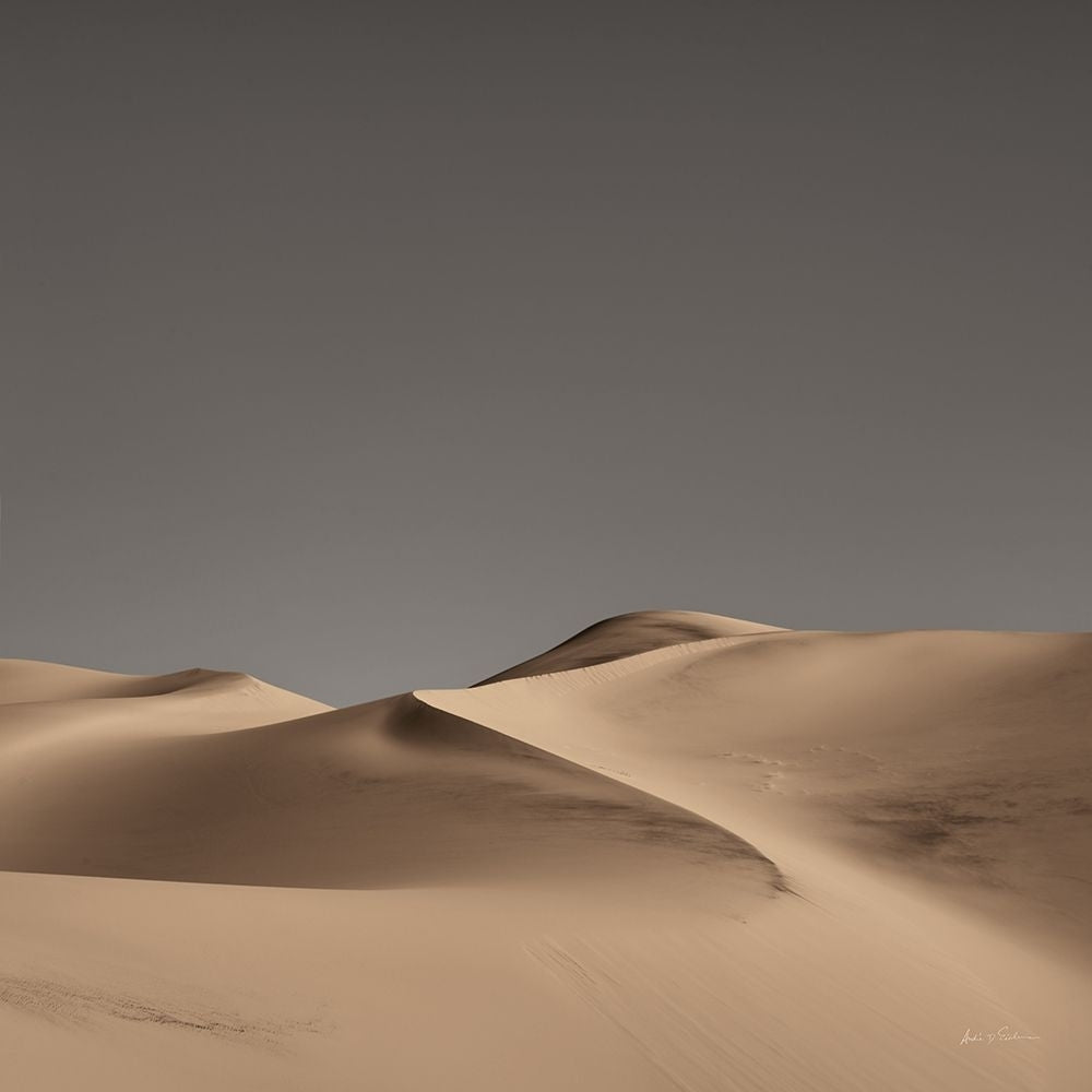 Sandy Dunes II Neutral Sky Poster Print - Andre Eichman-VARPDX68468 Image 1