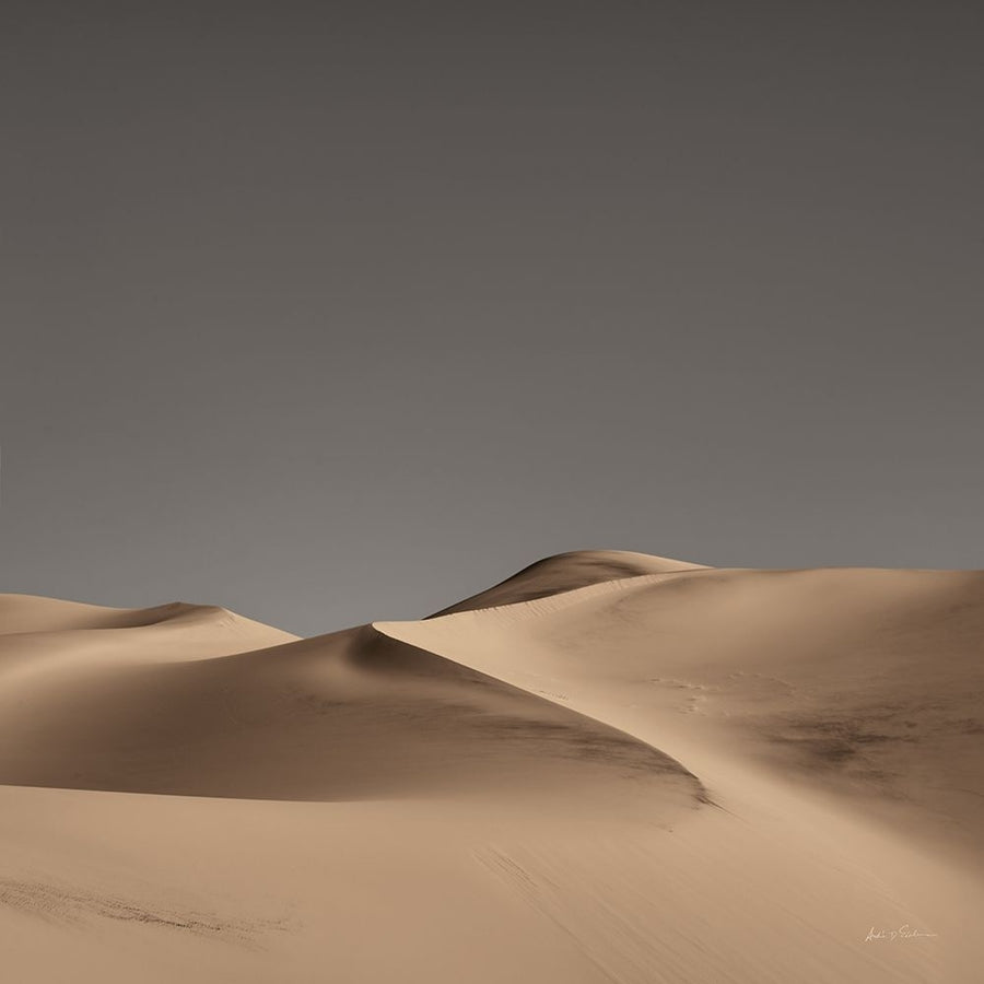 Sandy Dunes II Neutral Sky Poster Print - Andre Eichman-VARPDX68468 Image 1