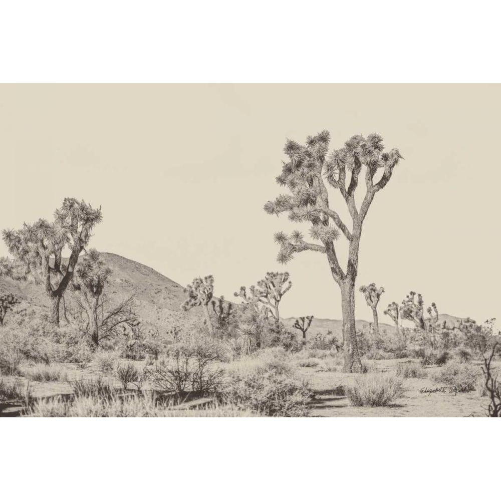 Joshua Tree II Neutral by Elizabeth Urquhart-VARPDX68489 Image 1