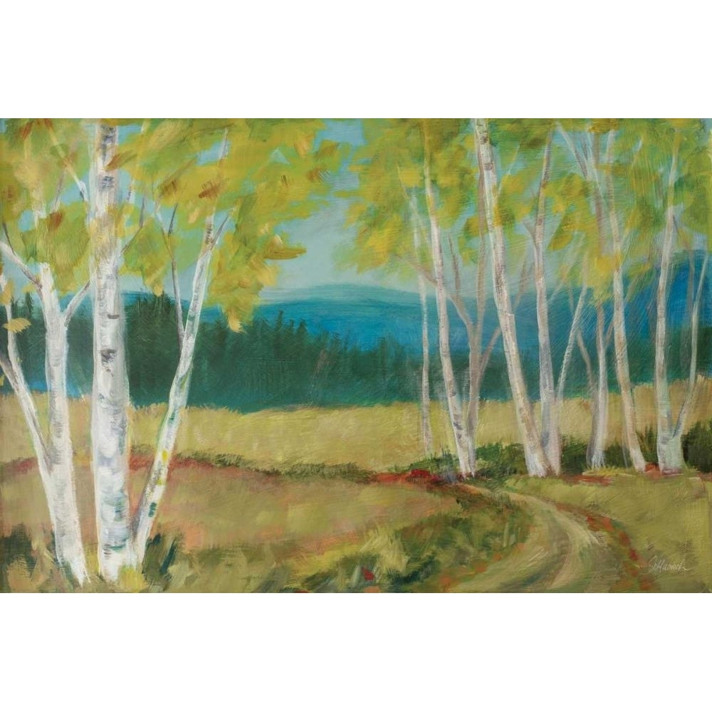 Birch Road by Sue Schlabach-VARPDX68634 Image 1