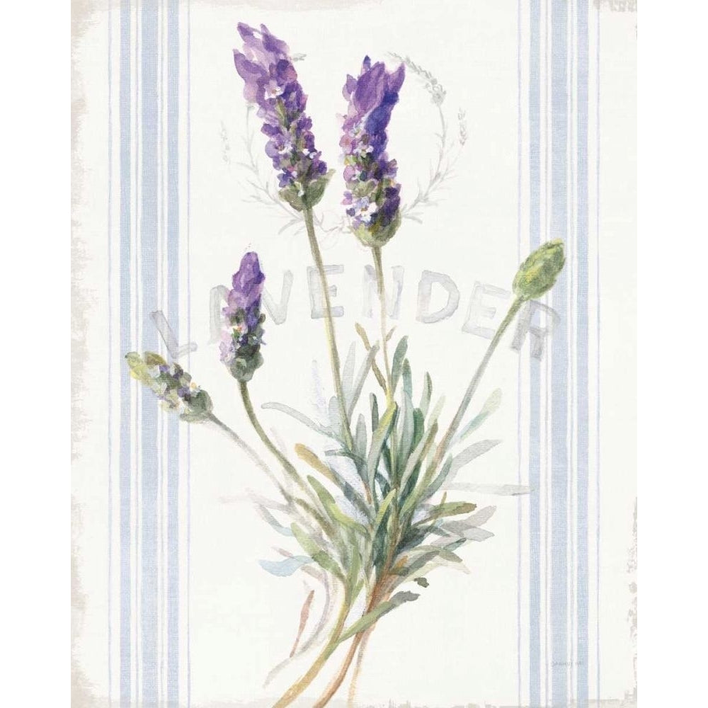 Floursack Lavender III by Danhui Nai-VARPDX68712 Image 1