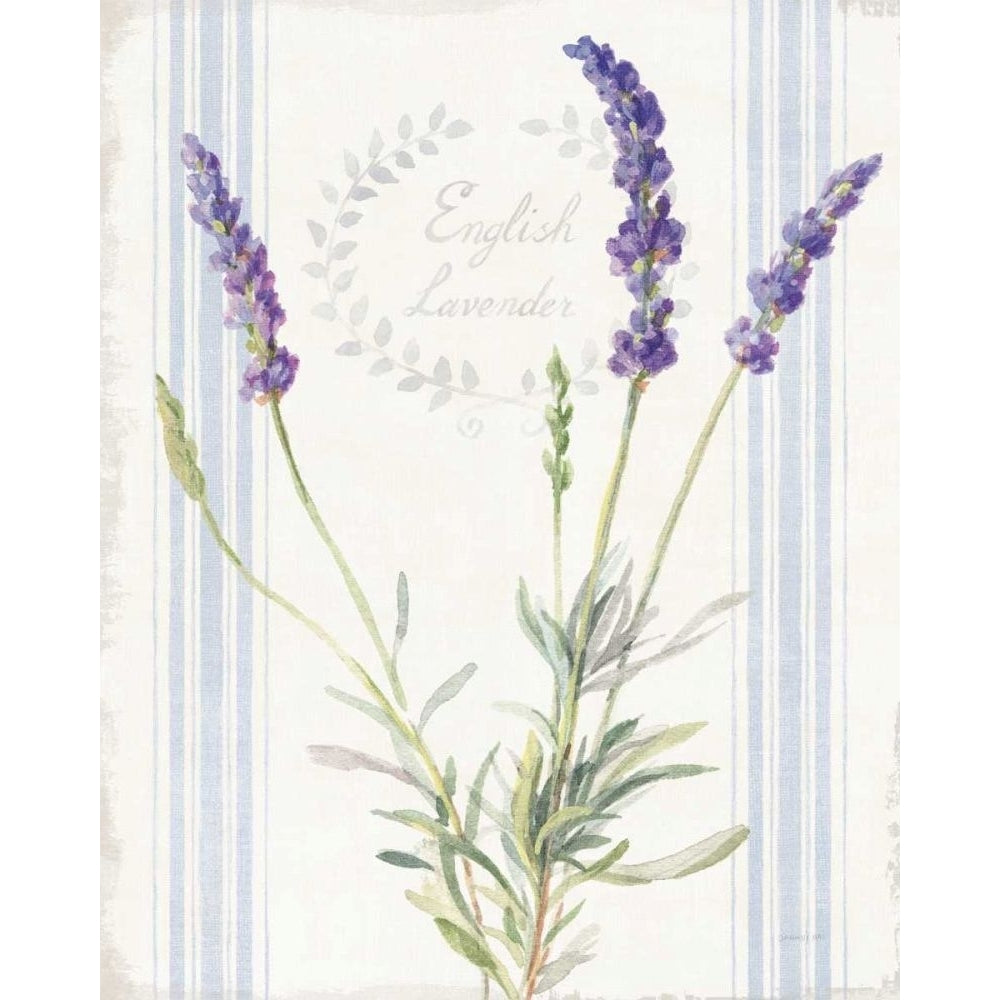 Floursack Lavender IV by Danhui Nai-VARPDX68713 Image 1