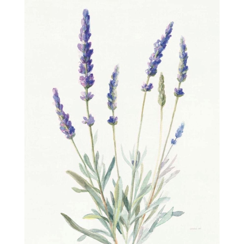 Floursack Lavender I on Linen by Danhui Nai-VARPDX68715 Image 1