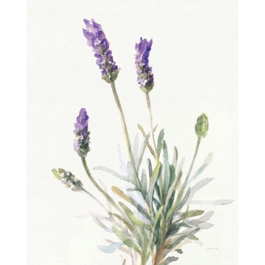 Floursack Lavender III on Linen by Danhui Nai-VARPDX68717 Image 1