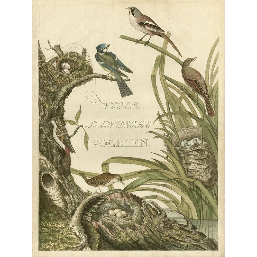 Sanctuary for Birds Poster Print - Nozeman-VARPDX68997Z Image 1