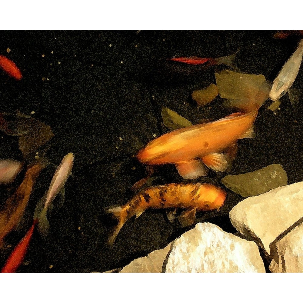 Goldfish Pond I Poster Print - Alicia Ludwig-VARPDX69006Z Image 1