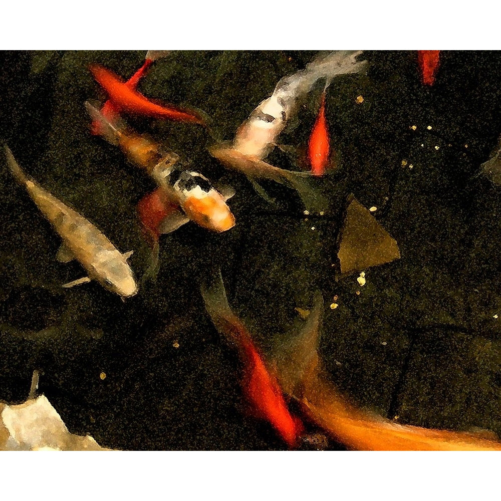 Goldfish Pond II Poster Print - Alicia Ludwig-VARPDX69007Z Image 1