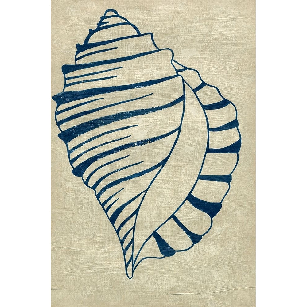 Indigo Shell V Poster Print - Chariklia Zarris-VARPDX69306Z Image 1