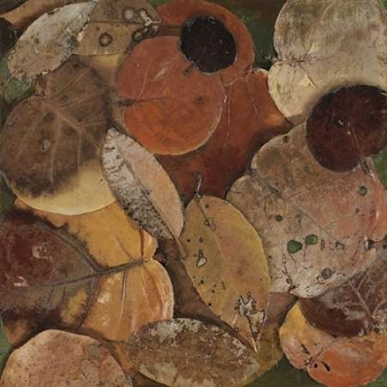 Scattered Leaves I Poster Print by Patricia Pinto-VARPDX6950 Image 1