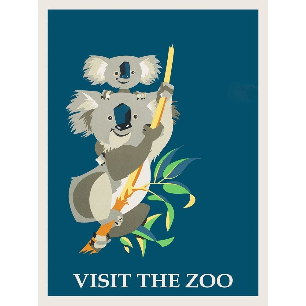 Koala Bear Zoo Poster Print - Travel Posters Vintage-VARPDX69502 Image 1