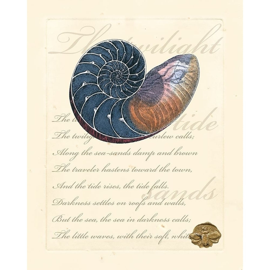 Romance of the Shell I Poster Print - Studio Vision-VARPDX69902Z Image 1