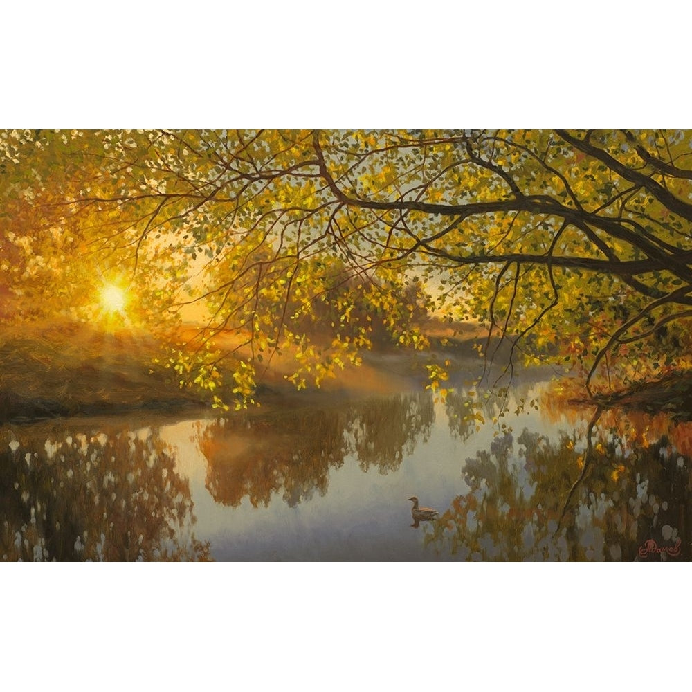 Sunrise above the River Poster Print - Alexey Adamov-VARPDX6ADAM056 Image 1