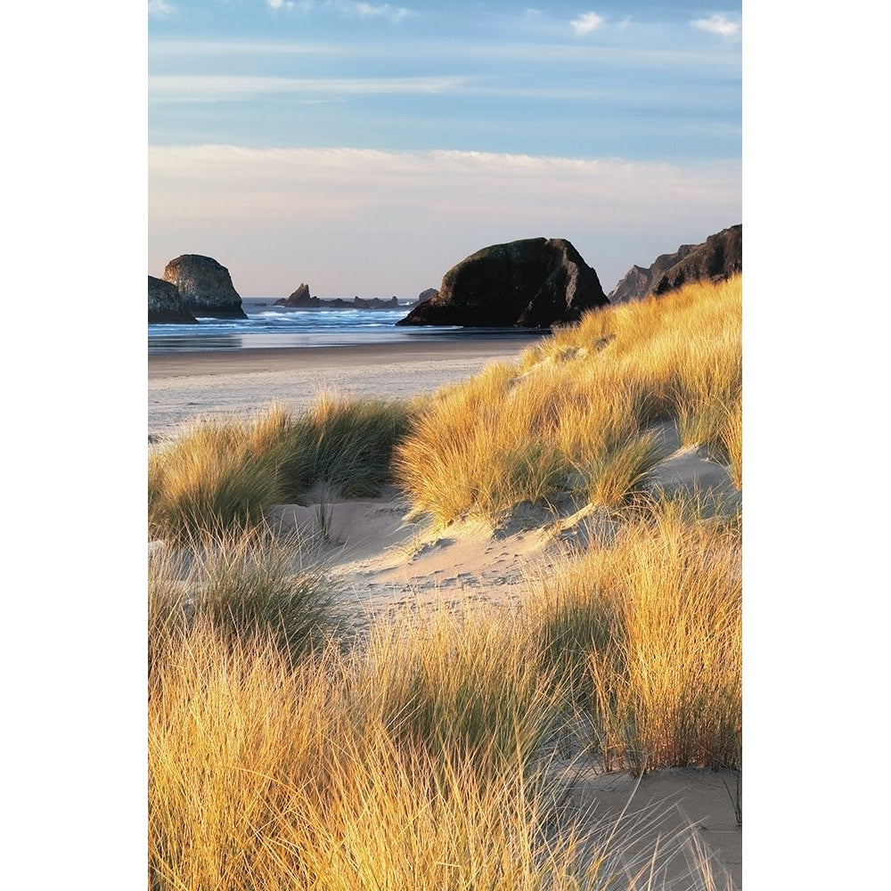 Dune Grass And Beach Ii Poster Print by Dennis Frates-VARPDX70055 Image 1