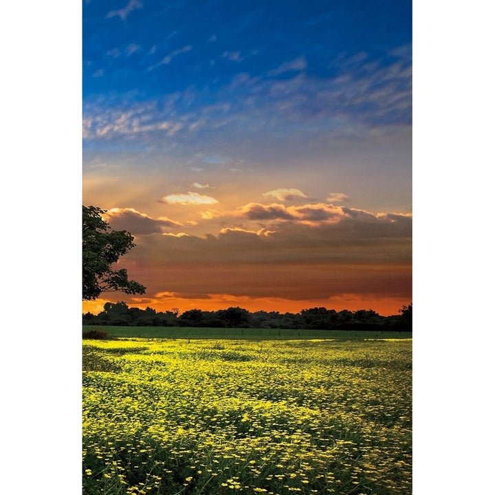 Shadows At Sunset Iii Poster Print by Celebrate Life Gallery-VARPDX70074 Image 2