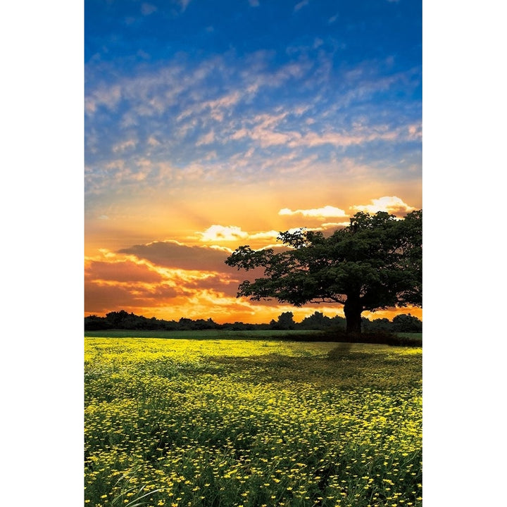 Shadows At Sunset Ii Poster Print by Celebrate Life Gallery-VARPDX70073 Image 2