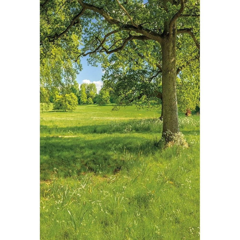 Greenest Pastures I Poster Print by Assaf Frank-VARPDX70087 Image 1