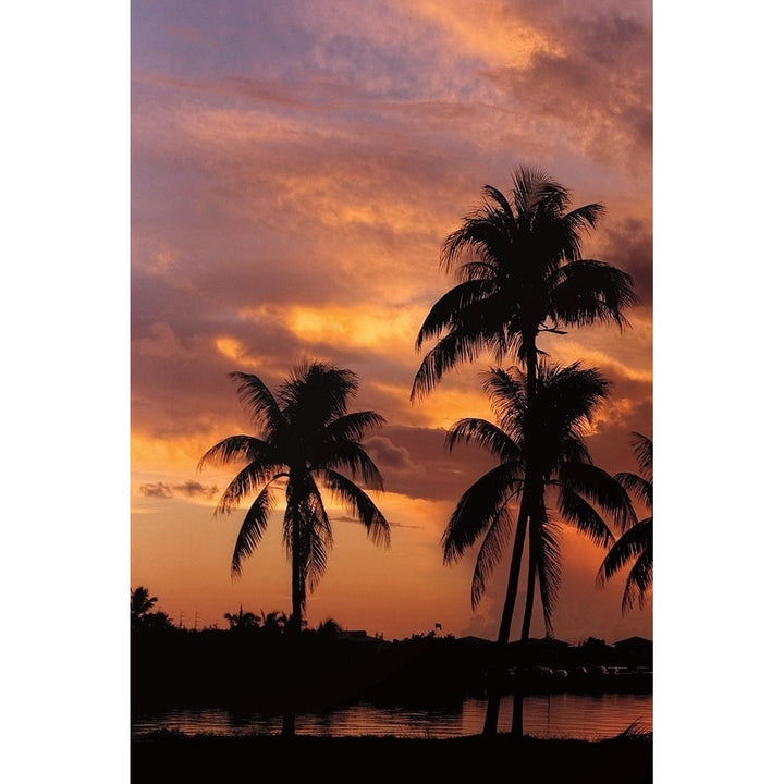 Tropical Sunsets A Poster Print by Mike Jones-VARPDX70108 Image 2