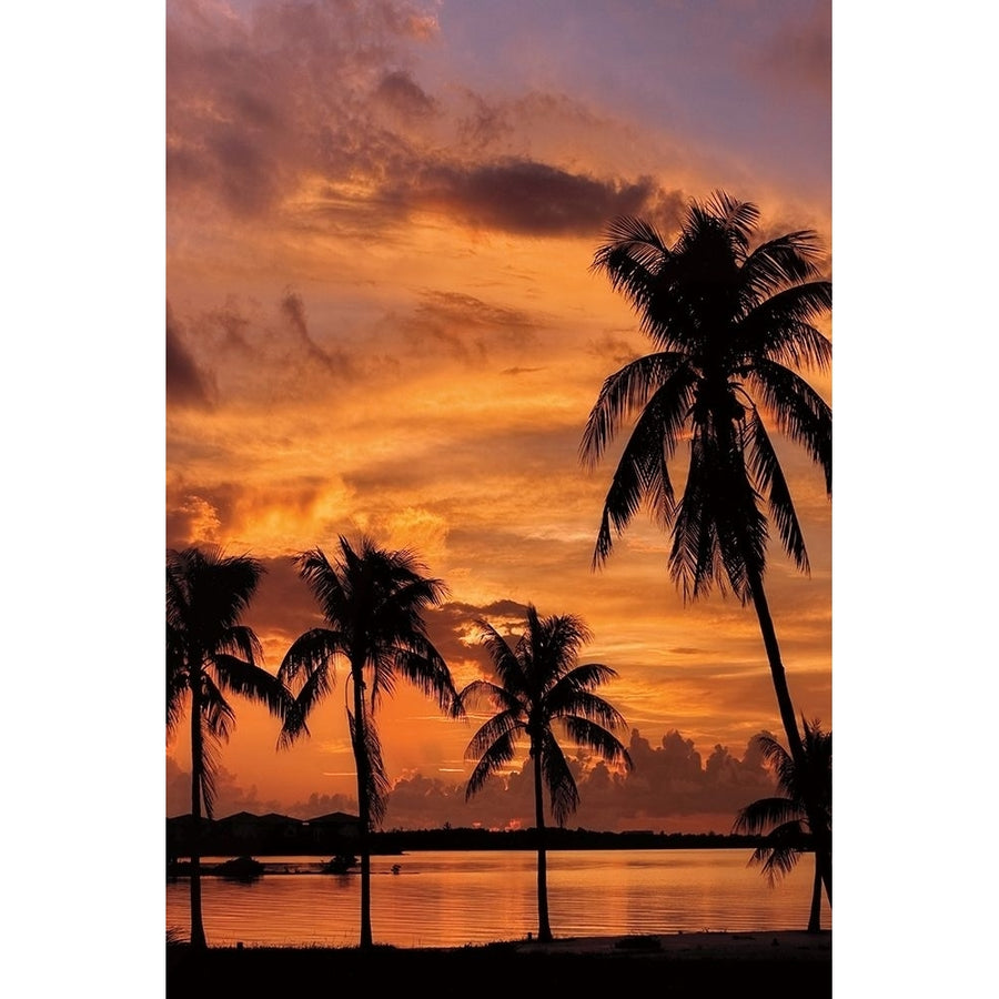 Tropical Sunsets B Poster Print by Mike Jones-VARPDX70109 Image 1