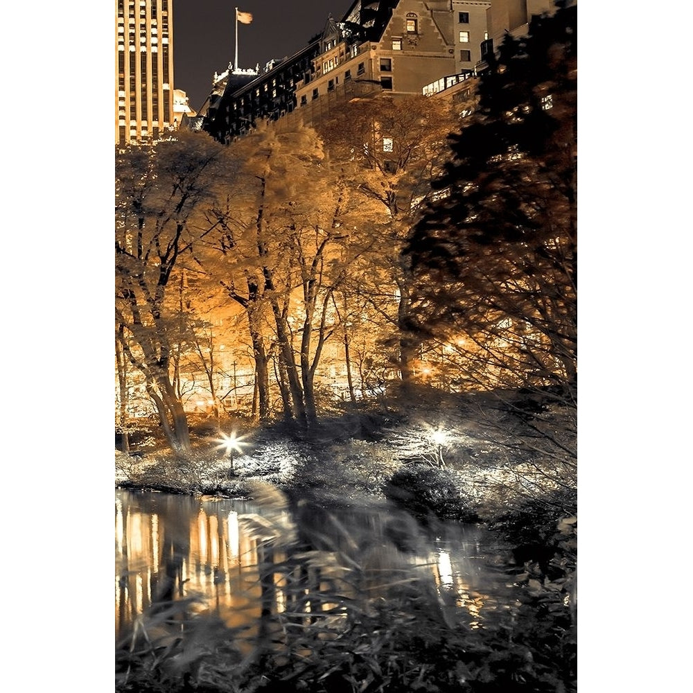 Central Park Glow Iii Poster Print by Assaf Frank-VARPDX70143 Image 1