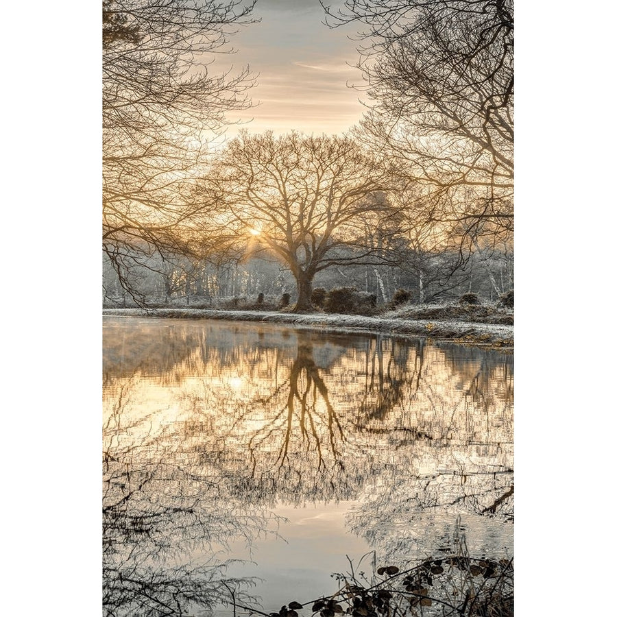 Frosty Morning Ii Poster Print by Assaf Frank-VARPDX70145 Image 1