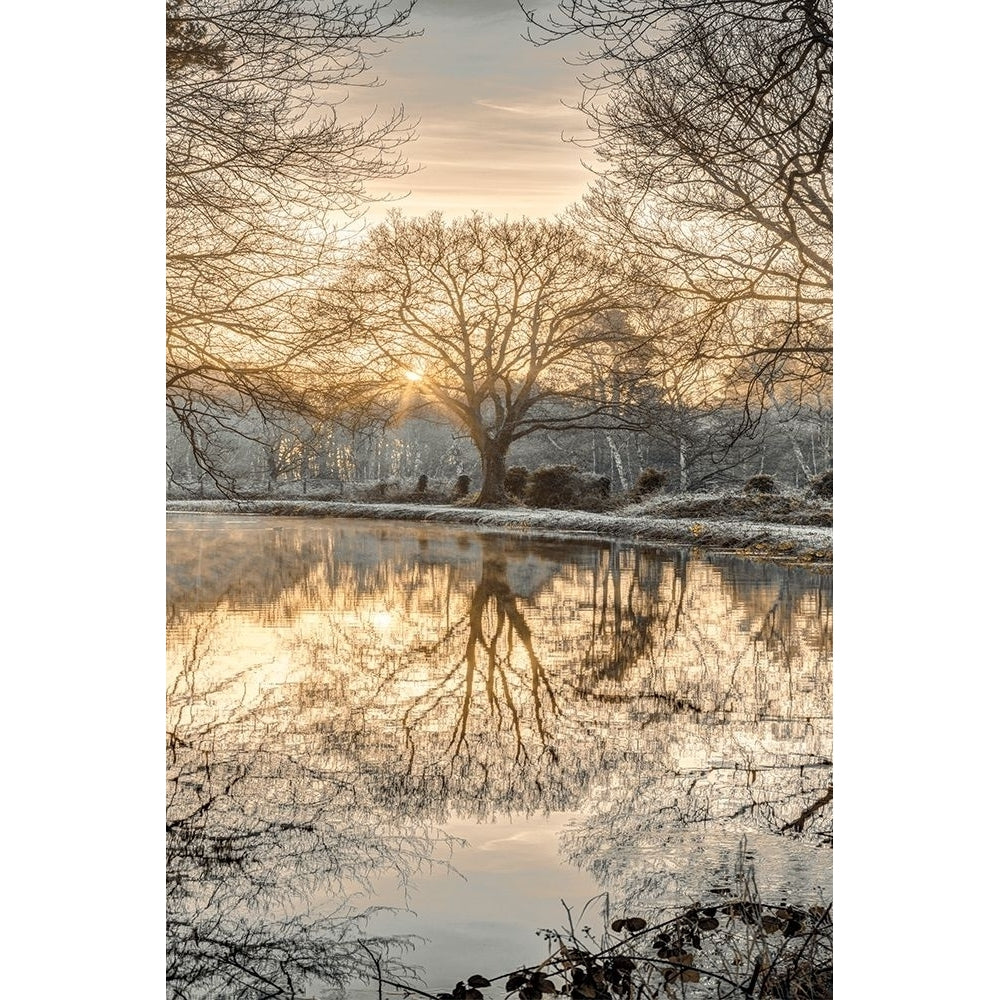 Frosty Morning Ii Poster Print by Assaf Frank-VARPDX70145 Image 2