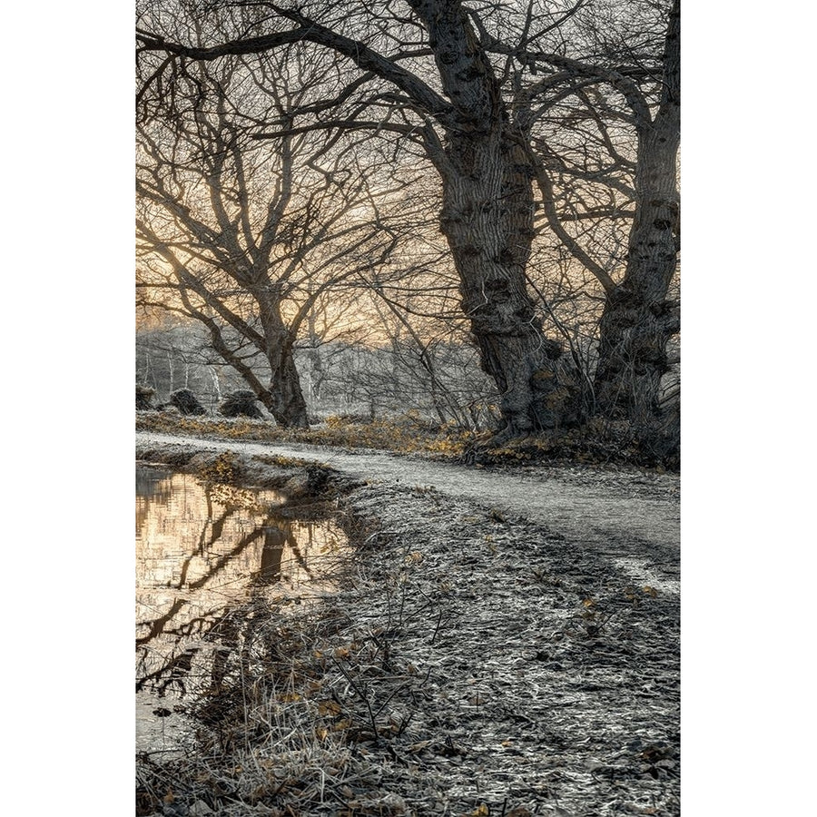 Frosty Morning Iii Poster Print by Assaf Frank-VARPDX70146 Image 1