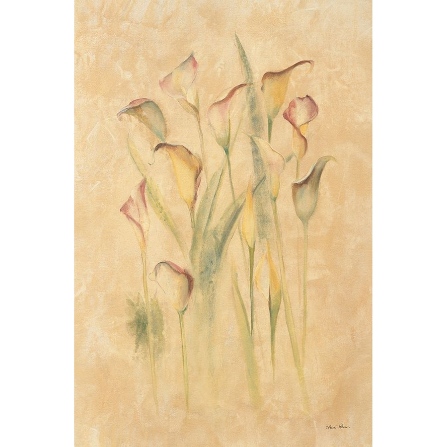 Blushing Calla Lilies Poster Print - Cheri Blum-VARPDX7043 Image 1