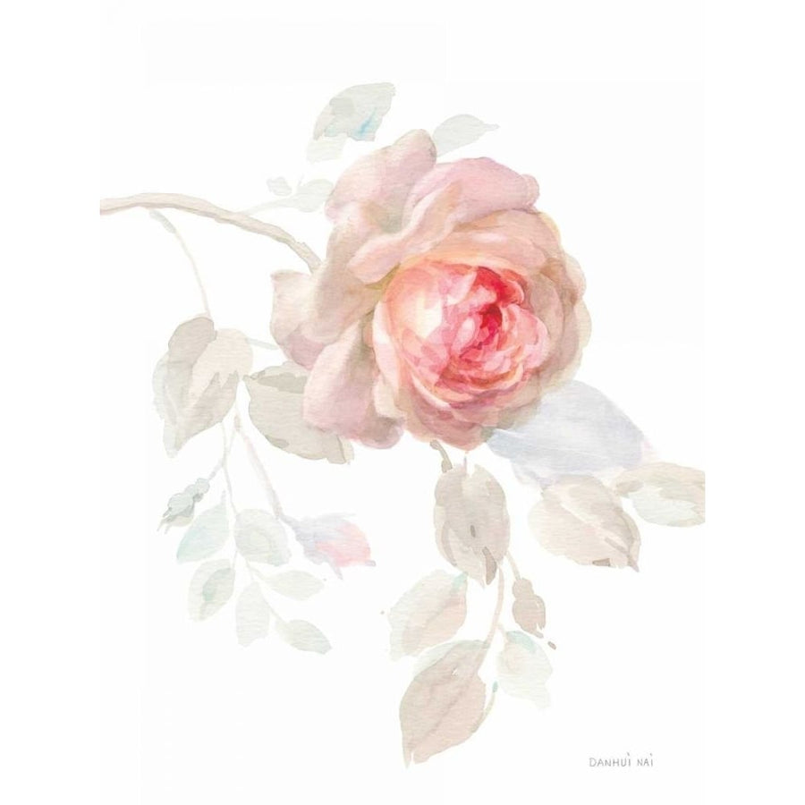 Gentle Rose I by Danhui Nai-VARPDX70577 Image 1