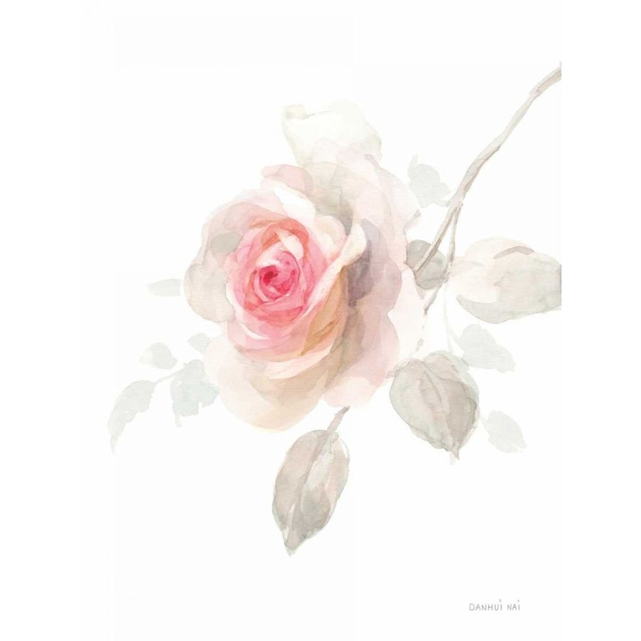 Gentle Rose II by Danhui Nai-VARPDX70578 Image 1