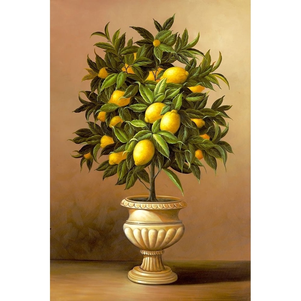 Potted Lemon Tree by Welby-VARPDX70743 Image 1