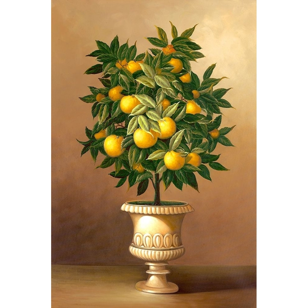 Potted Orange Tree by Welby-VARPDX70744 Image 1