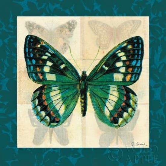 Silk Butterfly II Poster Print by Sue Schlabach-VARPDX7100 Image 1