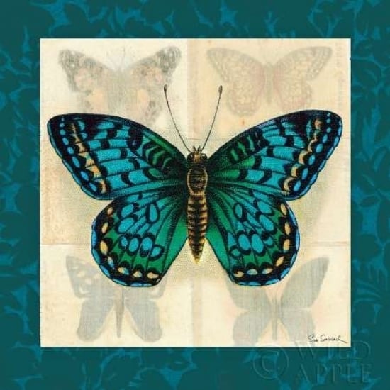 Silk Butterfly I Poster Print by Sue Schlabach-VARPDX7099 Image 1